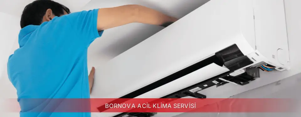 Bornova İlçemi Finlux Acil Klima Servisi