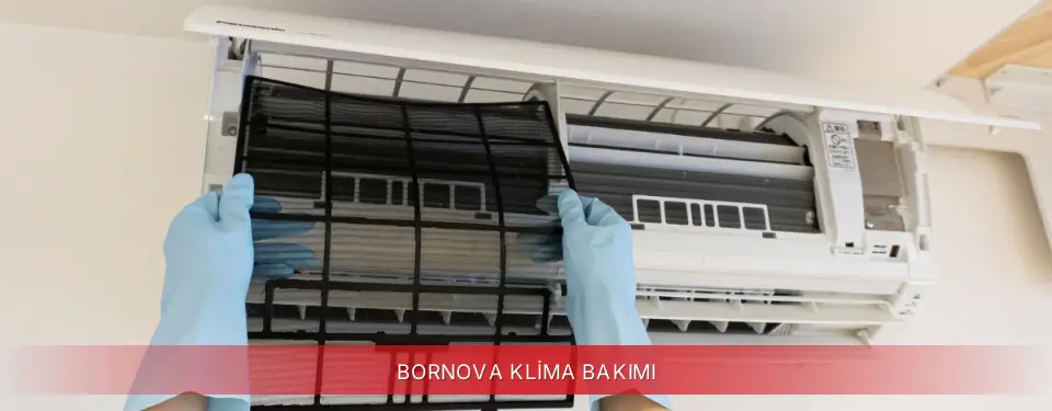 Bornova İlçemi Finlux Klima Bakımı