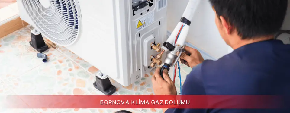 Bornova İlçemi Finlux Klima Gaz Dolumu