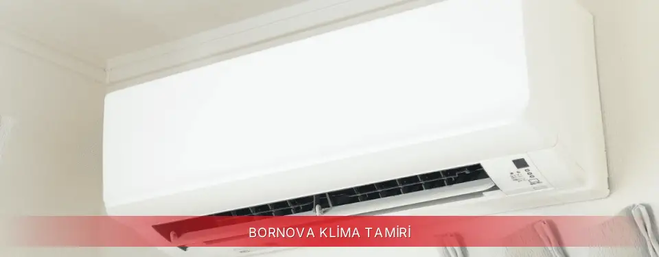 Bornova İlçemi Finlux Klima Tamiri