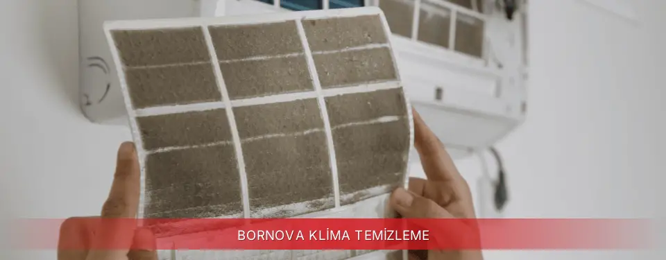 Bornova İlçemi Finlux Klima Temizleme